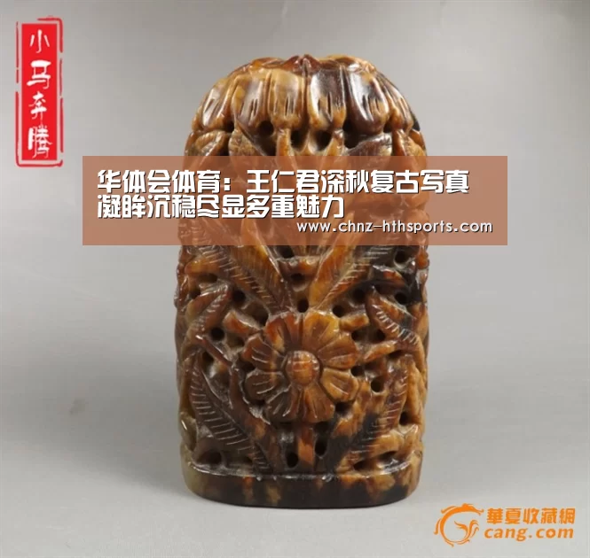 华体会体育:王仁君深秋复古写真 凝眸沉稳尽显多重魅力(图3) 华体会体育