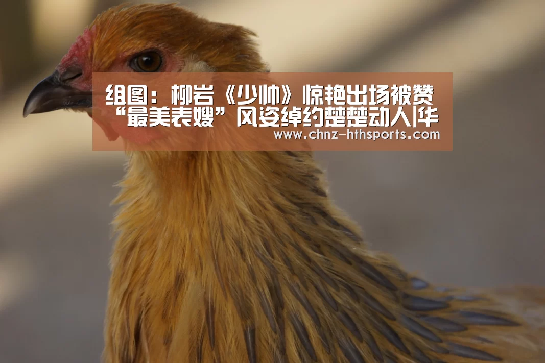 组图:柳岩《少帅》惊艳出场被赞“最美表嫂”风姿绰约楚楚动人|华体会体育(图1) 华体会体育