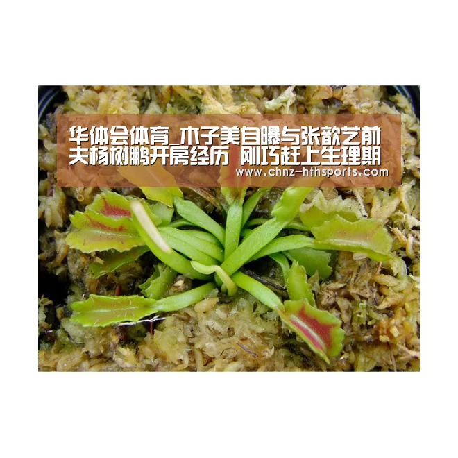 华体会体育